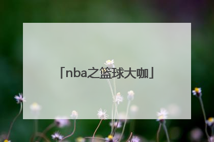 「nba之篮球大咖」nba之篮球大咖 小说